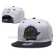 Casquette Tornto Raptors 9FIFTY Snapback Gris