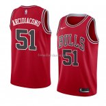 Maillot Chicago Bulls Ryan Arcidiacono Icon 2018 Rouge