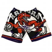 Short Tornto Raptors Mitchell & Ness Big Face Blanc