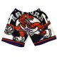 Short Tornto Raptors Mitchell & Ness Big Face Blanc
