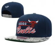 NBA Chicago Bulls Casquette Bleu Gris