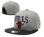 NBA Chicago Bulls Casquette Gris Noir 2008