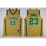 Maillot Basket Cleveland Cavaliers James 23 Jaune 2010