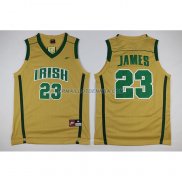 Maillot Basket Cleveland Cavaliers James 23 Jaune 2010