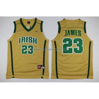 Maillot Basket Cleveland Cavaliers James 23 Jaune 2010