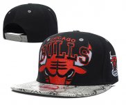 NBA Chicago Bulls Casquette Noir Gris 2009